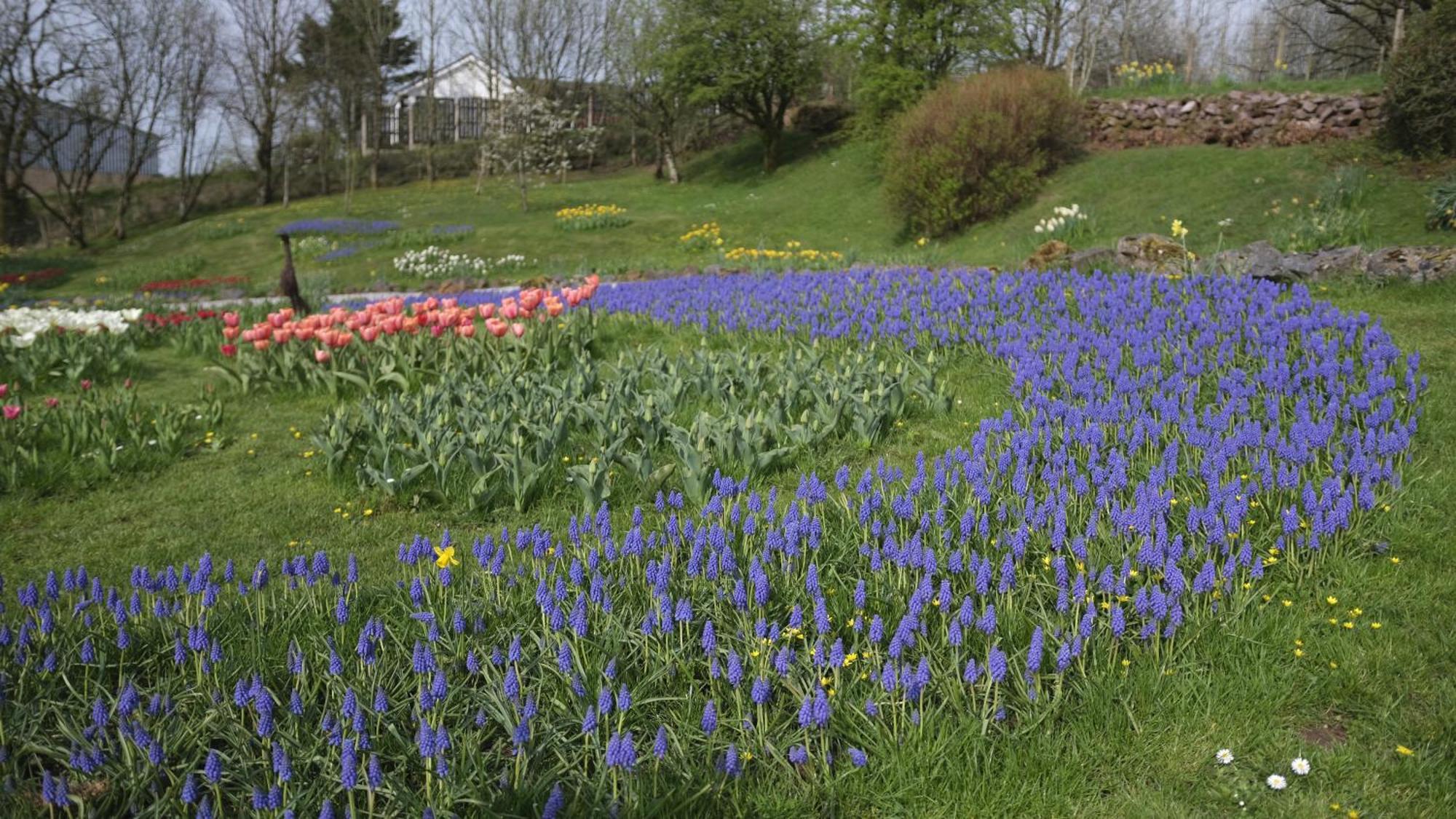 Rowrah Hall Arlecdon Esterno foto
